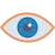 eye-color-icon